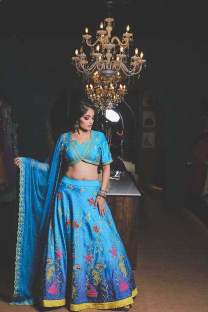 Aqua Blue Embroidered Lehenga Set