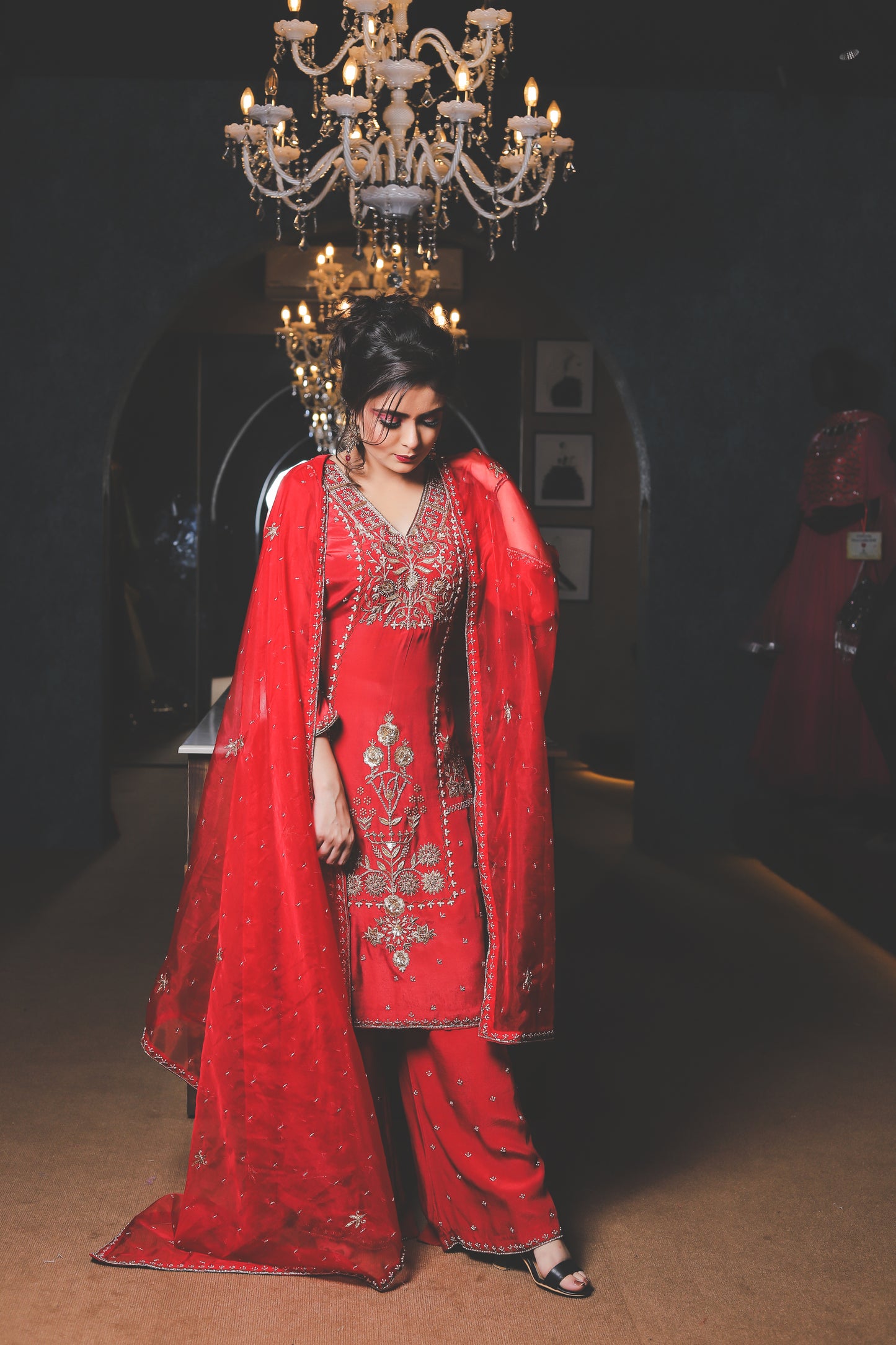 Zari Embroidered Festive Salwar Suit Set